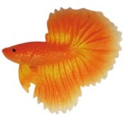 Plaukiojanti dekoracija-žuvytė, 5 cm (oranžinė)